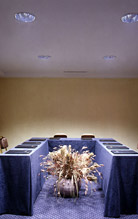 Conferences in Eagles Palace Hotel & Bungalows - Chalkidiki