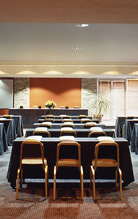 Conferences in Eagles Palace Hotel & Bungalows - Chalkidiki