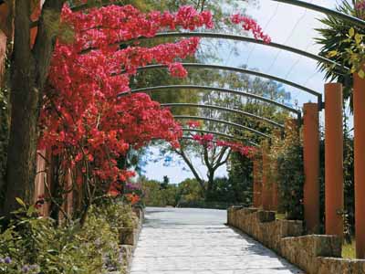 Kontokali Bay Hotel - Garden